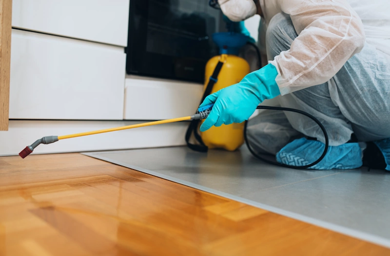 Pest control worker spraying pesticide indoors