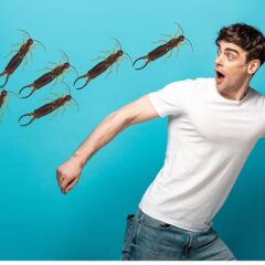 A man running from a swarm of bugs during Earwig Season.