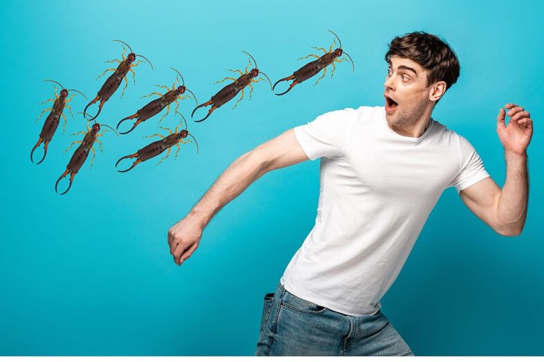 A man running from a swarm of bugs during Earwig Season.