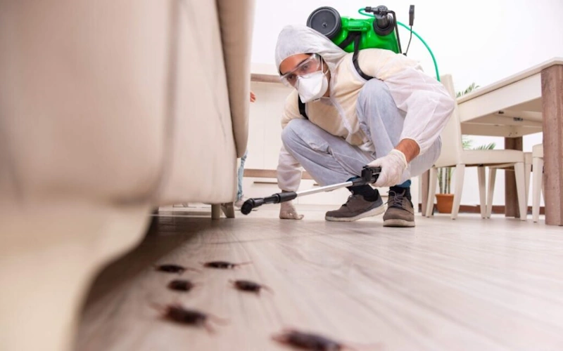 Man sprays the floor with insecticides for roach control services