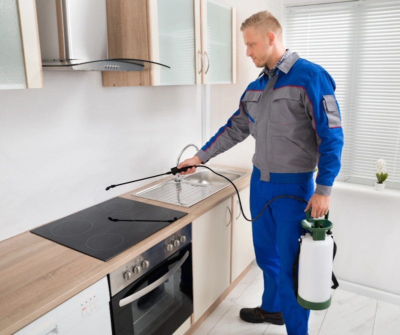 Glendale pest control worker spraying a kitchen sink with a pressurized bottle.
