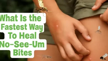 A leg with multiple insect bites with text about healing no-see-um bites.