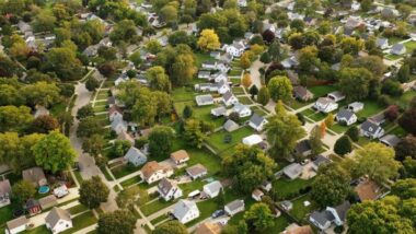 Do I Really Need Pest Control in Menomonee Falls, WI—Or Can I Handle It Myself?