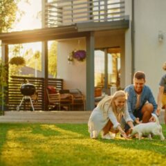 Best Pest Control Company in Menomonee Falls, WI: What to Look For