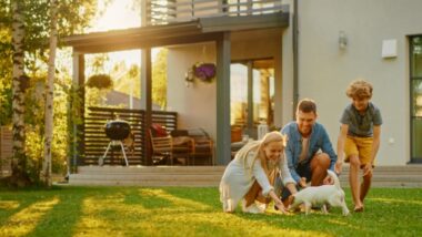 Best Pest Control Company in Menomonee Falls, WI: What to Look For