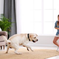 Are Pest Control Treatments Safe for Kids and Pets in Menomonee Falls?