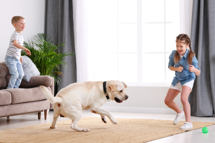 Are Pest Control Treatments Safe for Kids and Pets in Menomonee Falls?