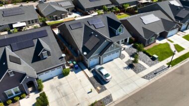 How Long Does Pest Control Take to Work in Germantown Homes?